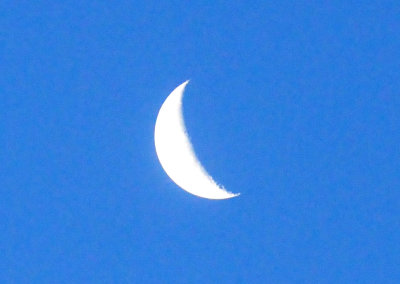 330cooks_001moon.jpg