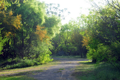 330cooks_076trail.jpg
