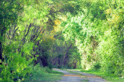 330cooks_084trail.jpg