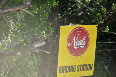 415neals_112neals.jpg