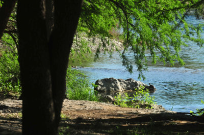 415neals_120nealsonriver.jpg