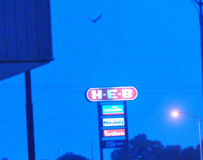 52nighthawks_077LESSERS.jpg