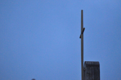 621uvaldesummer_034downtown.jpg