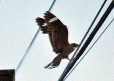 621uvaldesummer_058lesser.jpg
