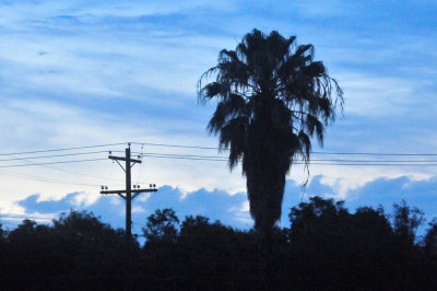 622saturday_013saturday.jpg