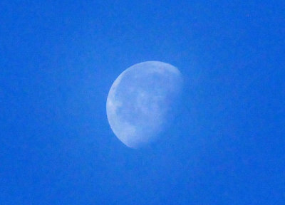 622saturday_040saturday.jpg
