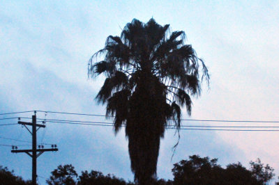 624downtown_003city.jpg