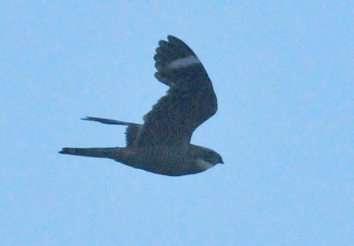 624downtown_062lesser.jpg