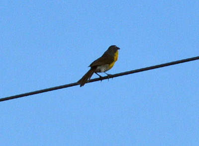 cook's slough nature park