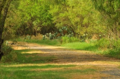 Uvalde County