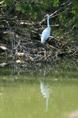 123cooks_120greategret.jpg