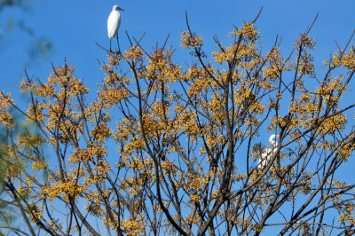 124cooks_029greategrets.jpg