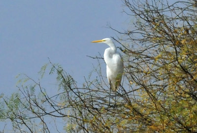 129cooks_154greategret.jpg