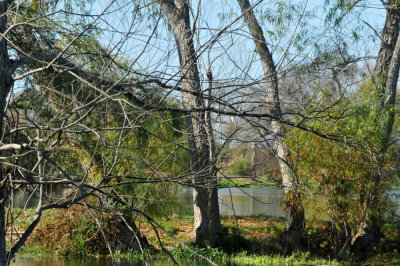 1212cooks_169landscape.jpg