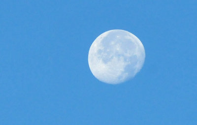 1214cooks_007luna.jpg