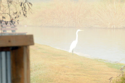 1221cooks_007greategret.jpg