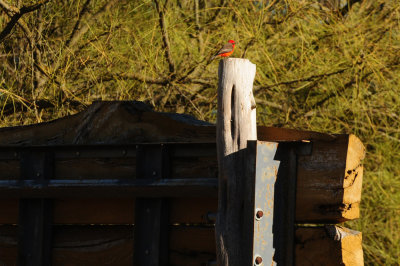1221cooks_064gatekeeper.jpg