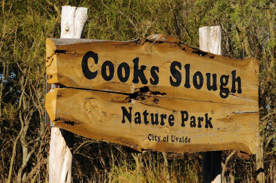 1222cooks_018cooks_slough.jpg