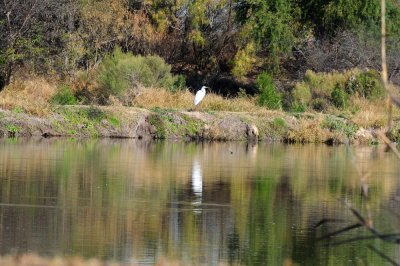 1222cooks_235greategret.jpg