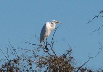 1224cooks_096greategret.jpg