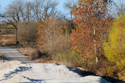1229county_020nueces202.jpg