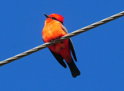 1230county_255gatekeeper.jpg