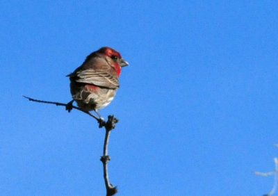 cook's slough nature park  December  2019