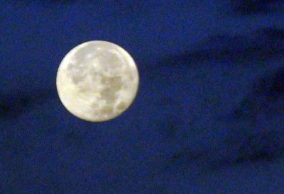 76cook's 029moon.jpg