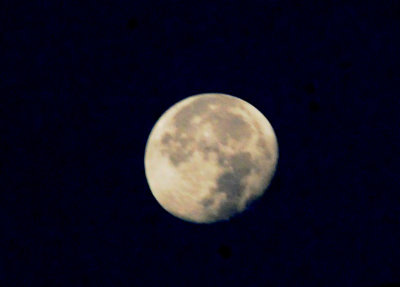 77countycooks 096moon.jpg