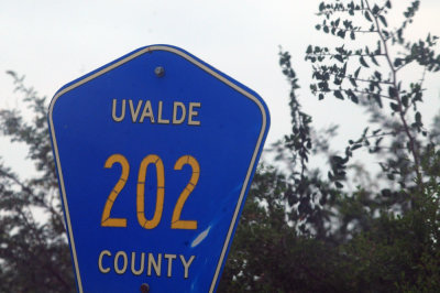 79uvaldewest 001cr202.jpg