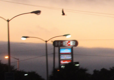 711downtown 034HEBlesser.jpg