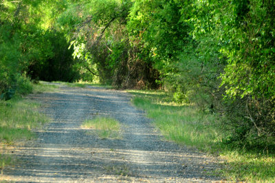714 ccook's 005trail.jpg