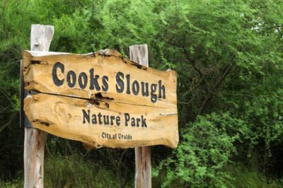 718cook's 036cook's.jpg