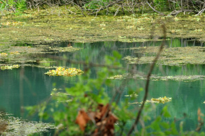 719dounty 045leonariver.jpg