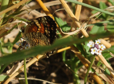 724me 194phaon.jpg