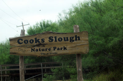91cook's 010cook'sslough.jpg