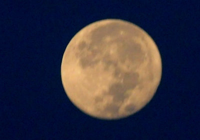 93cook's 008luna.jpg