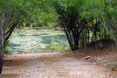 96ftInge 024boatramp.jpg