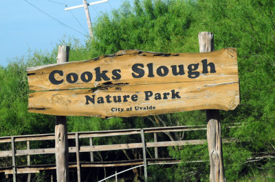 97ccounty 039cook's.jpg