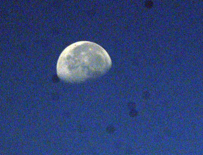 97ccounty 044luna.jpg