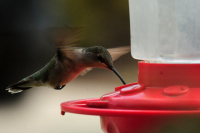 911yyard 062hummer.jpg