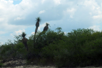 913ccccounty 168yucca.jpg
