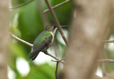 913countyy 003hummer.jpg