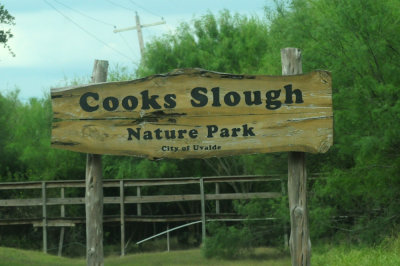 913countyy 020cook's.jpg