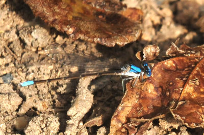 913countyy 144bluefrontrd.jpg