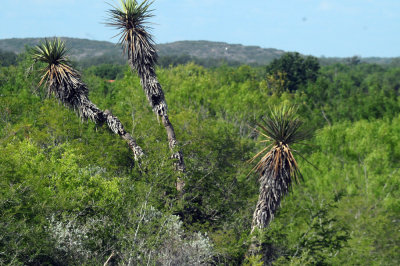 914county 142yucca.jpg