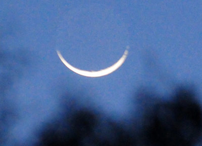 915cooks 001moonsmile.jpg