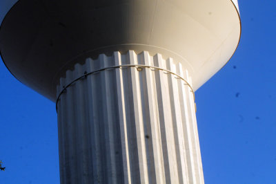 918county 004peregrinepair.jpg