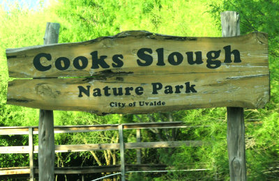 922cook's 015cooksslough.jpg