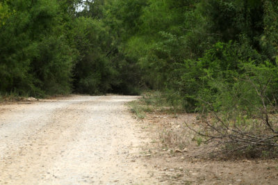 927county 022road.jpg